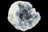 Celestine (Celestite) Geode ( Lbs) - Large Crystals! #106674-3